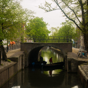Edam • <a style="font-size:0.8em;" href="http://www.flickr.com/photos/96122682@N08/37933378962/" target="_blank">View on Flickr</a>