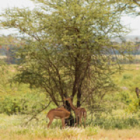 • <a style="font-size:0.8em;" href="http://www.flickr.com/photos/96122682@N08/24101457878/" target="_blank">View on Flickr</a>