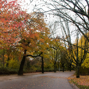 Y más, más colores Y más, más colores • <a style="font-size:0.8em;" href="http://www.flickr.com/photos/96122682@N08/37280290134/" target="_blank">View on Flickr</a>