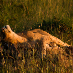 • <a style="font-size:0.8em;" href="http://www.flickr.com/photos/96122682@N08/37909245886/" target="_blank">View on Flickr</a>