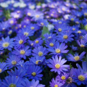 • <a style="font-size:0.8em;" href="http://www.flickr.com/photos/96122682@N08/26188432079/" target="_blank">View on Flickr</a>