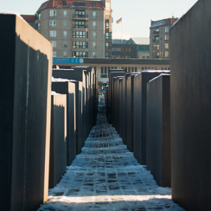 • <a style="font-size:0.8em;" href="http://www.flickr.com/photos/96122682@N08/37981086472/" target="_blank">View on Flickr</a>