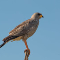 • <a style="font-size:0.8em;" href="http://www.flickr.com/photos/96122682@N08/26176990189/" target="_blank">View on Flickr</a>