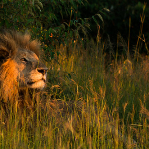 • <a style="font-size:0.8em;" href="http://www.flickr.com/photos/96122682@N08/37253035234/" target="_blank">View on Flickr</a>