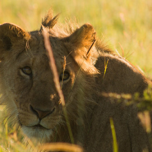 • <a style="font-size:0.8em;" href="http://www.flickr.com/photos/96122682@N08/37253084184/" target="_blank">View on Flickr</a>