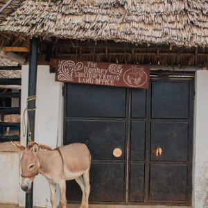 • <a style="font-size:0.8em;" href="http://www.flickr.com/photos/96122682@N08/37253524274/" target="_blank">View on Flickr</a>