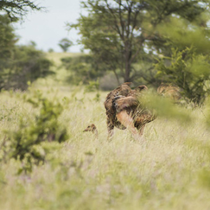 • <a style="font-size:0.8em;" href="http://www.flickr.com/photos/96122682@N08/37898436616/" target="_blank">View on Flickr</a>