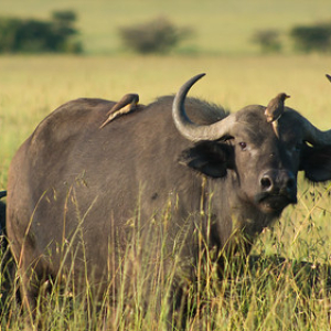 • <a style="font-size:0.8em;" href="http://www.flickr.com/photos/96122682@N08/26187211259/" target="_blank">View on Flickr</a>