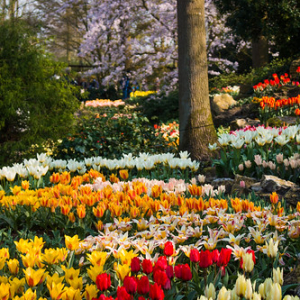 • <a style="font-size:0.8em;" href="http://www.flickr.com/photos/96122682@N08/26188340039/" target="_blank">View on Flickr</a>