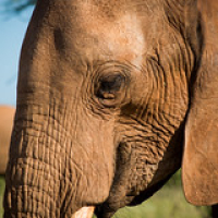 • <a style="font-size:0.8em;" href="http://www.flickr.com/photos/96122682@N08/37243103044/" target="_blank">View on Flickr</a>