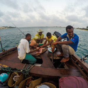 • <a style="font-size:0.8em;" href="http://www.flickr.com/photos/96122682@N08/37253473614/" target="_blank">View on Flickr</a>