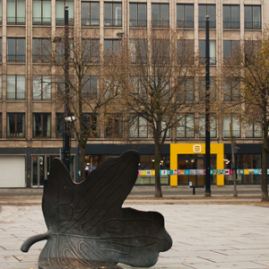 El otoño y su inmensa caída de hojas El otoño y su inmensa caída de hojas • <a style="font-size:0.8em;" href="http://www.flickr.com/photos/96122682@N08/37942991916/" target="_blank">View on Flickr</a>