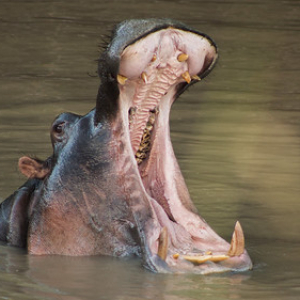 • <a style="font-size:0.8em;" href="http://www.flickr.com/photos/96122682@N08/26187179509/" target="_blank">View on Flickr</a>