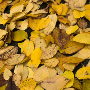 IMG_8594 IMG_8594 • <a style="font-size:0.8em;" href="http://www.flickr.com/photos/96122682@N08/26213496789/" target="_blank">View on Flickr</a>