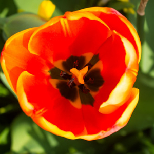 • <a style="font-size:0.8em;" href="http://www.flickr.com/photos/96122682@N08/26188425259/" target="_blank">View on Flickr</a>