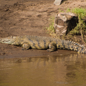 • <a style="font-size:0.8em;" href="http://www.flickr.com/photos/96122682@N08/37252357474/" target="_blank">View on Flickr</a>