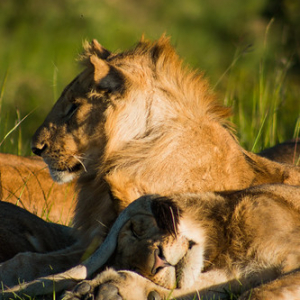 • <a style="font-size:0.8em;" href="http://www.flickr.com/photos/96122682@N08/24111784598/" target="_blank">View on Flickr</a>