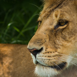 • <a style="font-size:0.8em;" href="http://www.flickr.com/photos/96122682@N08/37252354034/" target="_blank">View on Flickr</a>