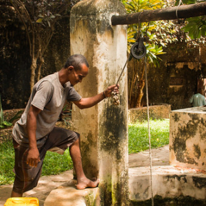 • <a style="font-size:0.8em;" href="http://www.flickr.com/photos/96122682@N08/37253513324/" target="_blank">View on Flickr</a>