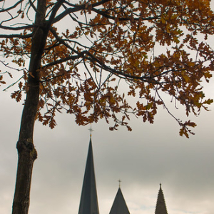 IMG_8464 IMG_8464 • <a style="font-size:0.8em;" href="http://www.flickr.com/photos/96122682@N08/24144596018/" target="_blank">View on Flickr</a>