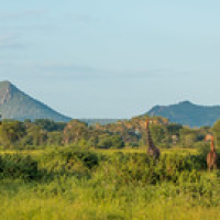 • <a style="font-size:0.8em;" href="http://www.flickr.com/photos/96122682@N08/26176961069/" target="_blank">View on Flickr</a>