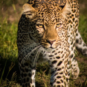 • <a style="font-size:0.8em;" href="http://www.flickr.com/photos/96122682@N08/26187114629/" target="_blank">View on Flickr</a>