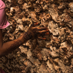 • <a style="font-size:0.8em;" href="http://www.flickr.com/photos/96122682@N08/37963170271/" target="_blank">View on Flickr</a>