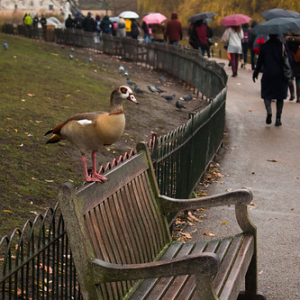 • <a style="font-size:0.8em;" href="http://www.flickr.com/photos/96122682@N08/37997208231/" target="_blank">View on Flickr</a>