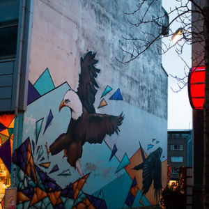 Reykjavik Reykjavik • <a style="font-size:0.8em;" href="http://www.flickr.com/photos/96122682@N08/38424082491/" target="_blank">View on Flickr</a>