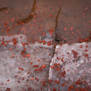 los colores, las texturas los colores, las texturas • <a style="font-size:0.8em;" href="http://www.flickr.com/photos/96122682@N08/38423993951/" target="_blank">View on Flickr</a>