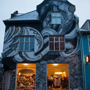 Reykjavik Reykjavik • <a style="font-size:0.8em;" href="http://www.flickr.com/photos/96122682@N08/37709500784/" target="_blank">View on Flickr</a>