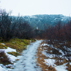 • <a style="font-size:0.8em;" href="http://www.flickr.com/photos/96122682@N08/38392641572/" target="_blank">View on Flickr</a>