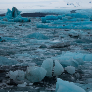 • <a style="font-size:0.8em;" href="http://www.flickr.com/photos/96122682@N08/26647662619/" target="_blank">View on Flickr</a>