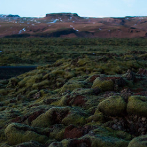 Eldhraun Eldhraun • <a style="font-size:0.8em;" href="http://www.flickr.com/photos/96122682@N08/26647702559/" target="_blank">View on Flickr</a>