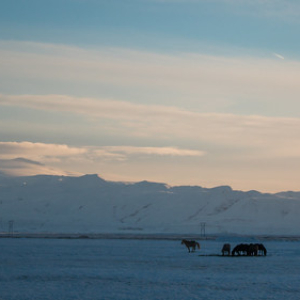 • <a style="font-size:0.8em;" href="http://www.flickr.com/photos/96122682@N08/38392633752/" target="_blank">View on Flickr</a>