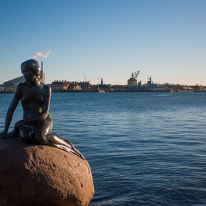 Y..... La sirenita.....! Y..... La sirenita.....! • <a style="font-size:0.8em;" href="http://www.flickr.com/photos/96122682@N08/39156225882/" target="_blank">View on Flickr</a>