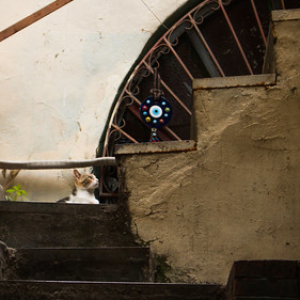 • <a style="font-size:0.8em;" href="http://www.flickr.com/photos/96122682@N08/38329592195/" target="_blank">View on Flickr</a>