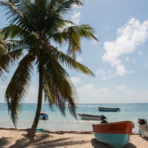 Isla Saona • <a style="font-size:0.8em;" href="http://www.flickr.com/photos/96122682@N08/26179980958/" target="_blank">View on Flickr</a>