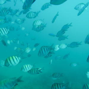 • <a style="font-size:0.8em;" href="http://www.flickr.com/photos/96122682@N08/39342526664/" target="_blank">View on Flickr</a>