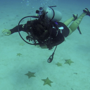 Nadando en las estrellas Nadando en las estrellas • <a style="font-size:0.8em;" href="http://www.flickr.com/photos/96122682@N08/28274106699/" target="_blank">View on Flickr</a>