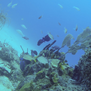 • <a style="font-size:0.8em;" href="http://www.flickr.com/photos/96122682@N08/25181211607/" target="_blank">View on Flickr</a>