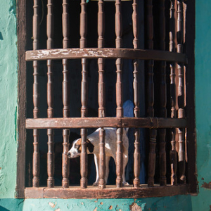 • <a style="font-size:0.8em;" href="http://www.flickr.com/photos/96122682@N08/40518212872/" target="_blank">View on Flickr</a>