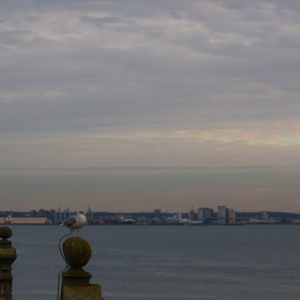 • <a style="font-size:0.8em;" href="http://www.flickr.com/photos/96122682@N08/39156203762/" target="_blank">View on Flickr</a>