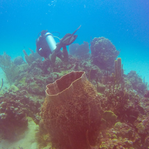 • <a style="font-size:0.8em;" href="http://www.flickr.com/photos/96122682@N08/25181211787/" target="_blank">View on Flickr</a>