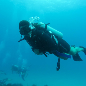 • <a style="font-size:0.8em;" href="http://www.flickr.com/photos/96122682@N08/40053412761/" target="_blank">View on Flickr</a>