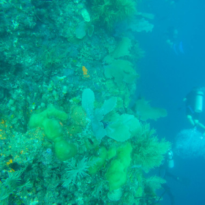 • <a style="font-size:0.8em;" href="http://www.flickr.com/photos/96122682@N08/25181212777/" target="_blank">View on Flickr</a>