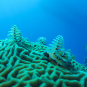 • <a style="font-size:0.8em;" href="http://www.flickr.com/photos/96122682@N08/40053410811/" target="_blank">View on Flickr</a>