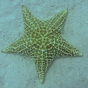 • <a style="font-size:0.8em;" href="http://www.flickr.com/photos/96122682@N08/40053411921/" target="_blank">View on Flickr</a>