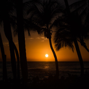 Atardecer en Bayahibe Atardecer en Bayahibe • <a style="font-size:0.8em;" href="http://www.flickr.com/photos/96122682@N08/40020357262/" target="_blank">View on Flickr</a>