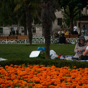 • <a style="font-size:0.8em;" href="http://www.flickr.com/photos/96122682@N08/27430174519/" target="_blank">View on Flickr</a>